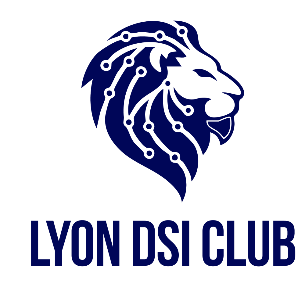 Lyon DSI Club