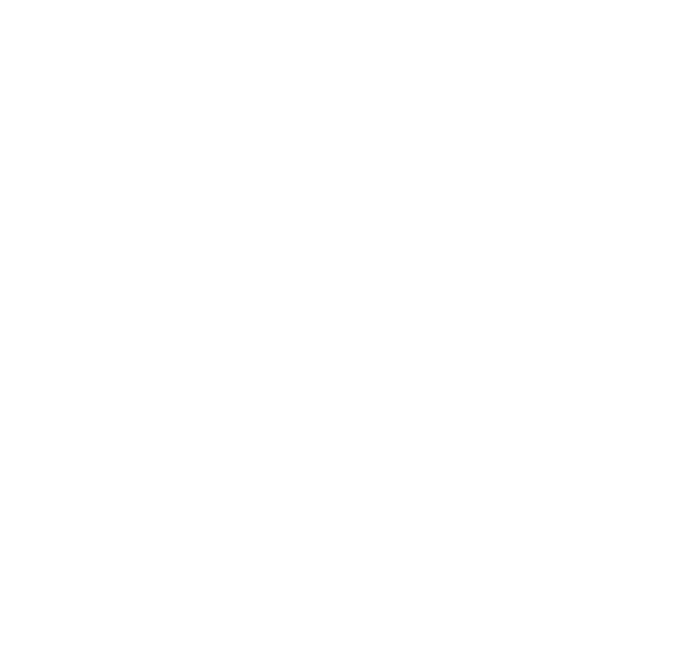 Lyon DSI Club